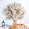 120PCS Natural Dried Pampas Grass Boho Home Decor Bouquet Phragmites Dried Flowers Bouquet for Wedding Floral Arrangements Home Decorations (120PCS)